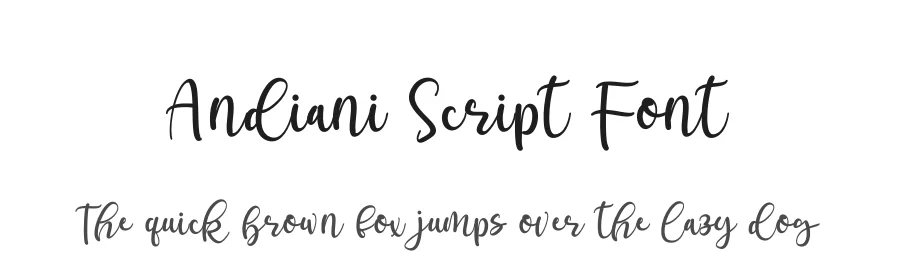 Andiani Script Font by letterenastudios — Script Handwritten Font