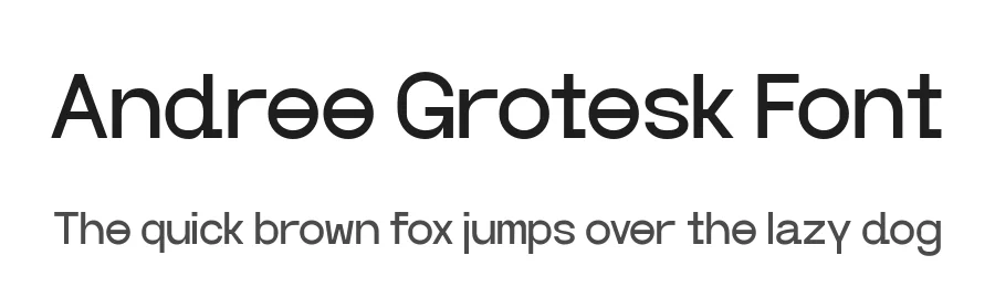 Andree Grotesk Font by Nguyen Type — Sans Serif Font