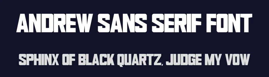 Andrew Sans Serif Font by Funtype — Decorative Font — thumbnail 2