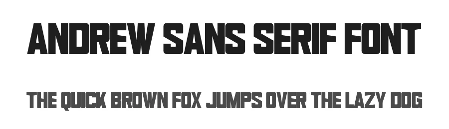 Andrew Sans Serif Font by Funtype — Decorative Font