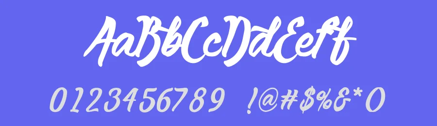 Anemone Script Font by Typeface — Script Handwritten Font — thumbnail 3