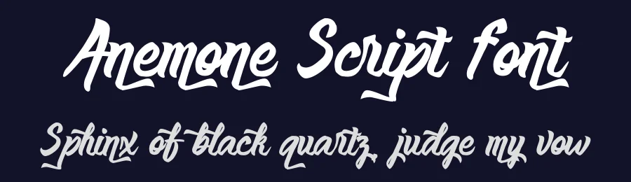 Anemone Script Font by Typeface — Script Handwritten Font — thumbnail 2