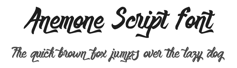 Anemone Script Font by Typeface — Script Handwritten Font