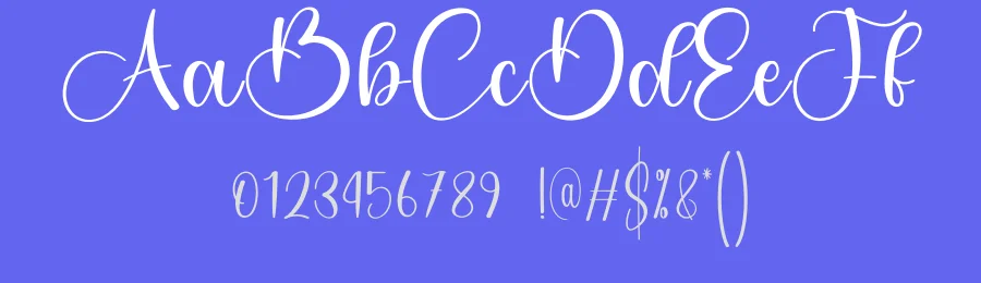 Angelica Calligraphy Script Font by creativeletter — Script Handwritten Font — thumbnail 3