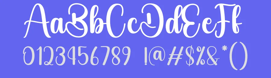 Angelica Calligraphy Typeface by creativeletter — Script Handwritten Font — thumbnail 3