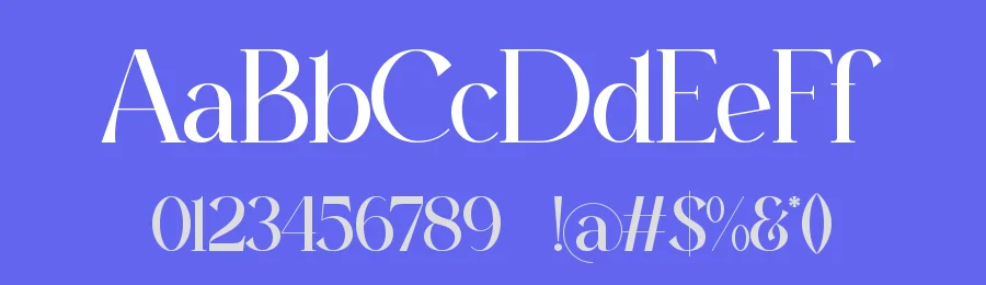 Angida || Modern Classy Sans Serif Font by ErmediaStudio — Serif Font — thumbnail 3