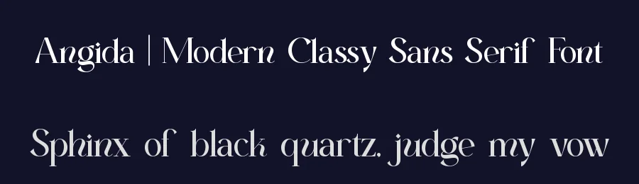 Angida || Modern Classy Sans Serif Font by ErmediaStudio — Serif Font — thumbnail 2