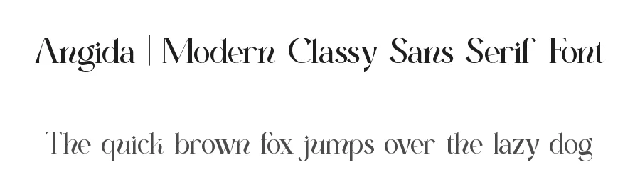 Angida || Modern Classy Sans Serif Font by ErmediaStudio — Serif Font