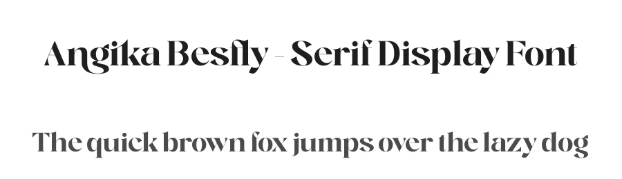 Angika Besfly – Serif Display Font by timelesstype.co — Display Font