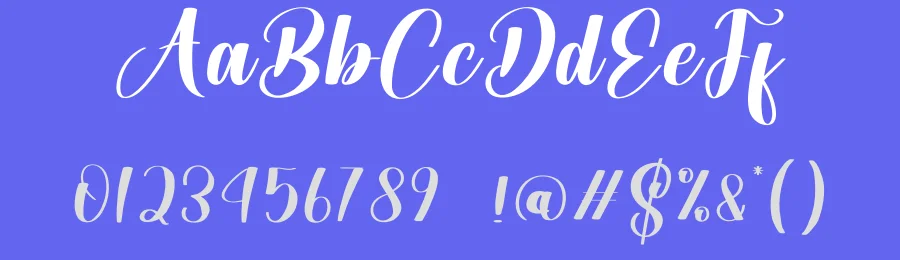 Angista Calligraphy Font by creativeletter — Script Handwritten Font — thumbnail 3