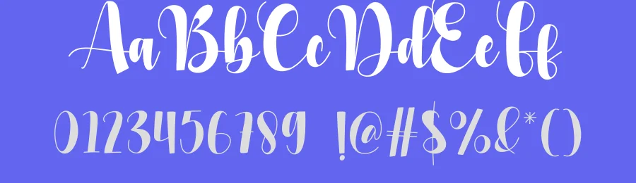 Anika Script Font by creativeletter — Script Handwritten Font — thumbnail 3