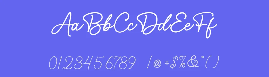 Anilla Roeslan Font by Basnistudio — Script Handwritten Font — thumbnail 3