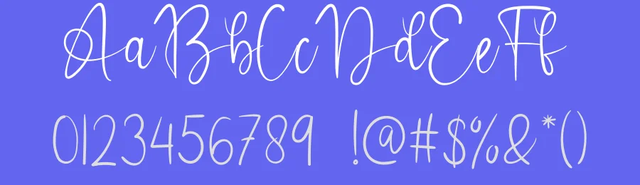 Anilla Script Font by creativeletter — Script Handwritten Font — thumbnail 3