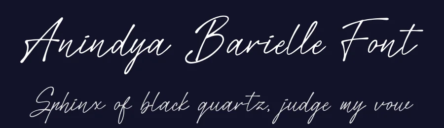 Anindya Barielle Font by Denustudios — Serif Font — thumbnail 2