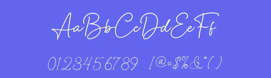 Anisa Signature Font by Basnistudio — Decorative Font — thumbnail 3