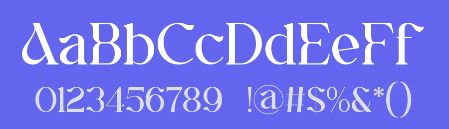 Anlira || Moder Classy Serif Font by ErmediaStudio — Serif Font — thumbnail 3