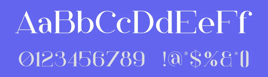 Annika Font by vpcreativeshop — Serif Font — thumbnail 3