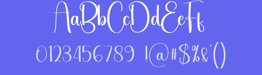 Another Calligraphy Font by creativeletter — Script Handwritten Font — thumbnail 3