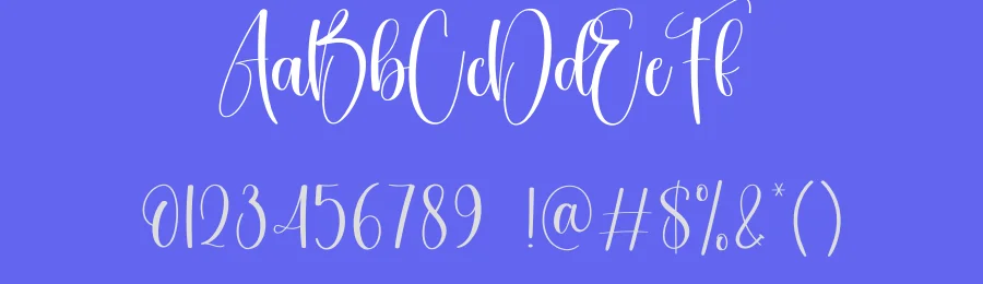 Another Calligraphy Font by creativeletter — Script Handwritten Font — thumbnail 3