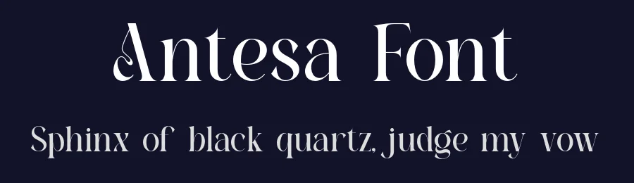 Antesa Font by ErmediaStudio — Serif Font — thumbnail 2