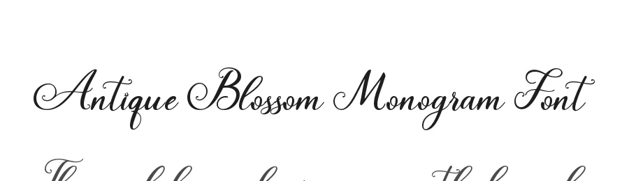 Antique Blossom Monogram Font by Yoga Letter — Script Handwritten Font