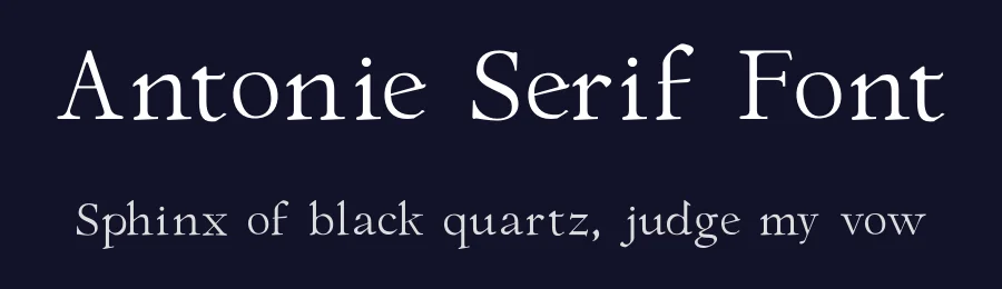 Antonie Serif Font by Type Factory — Serif Font — thumbnail 2