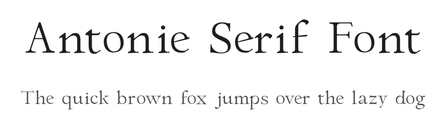 Antonie Serif Font by Type Factory — Serif Font