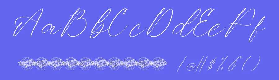 Antonila Bastian Font by letterenastudios — Script Handwritten Font — thumbnail 3