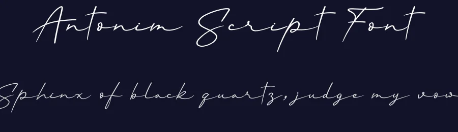 Antonim Script Font by andikastudio — Script Handwritten Font — thumbnail 2