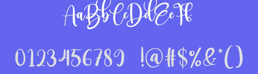 Anyone Script Font by creativeletter — Script Handwritten Font — thumbnail 3