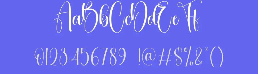 Anything Calligraphy Font by creativeletter — Script Handwritten Font — thumbnail 3
