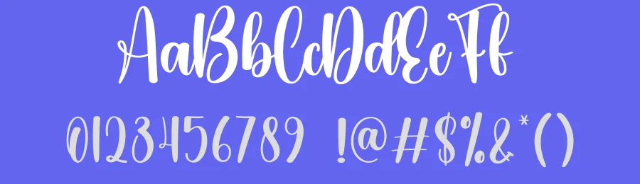 Anything Script Font by creativeletter — Script Handwritten Font — thumbnail 3