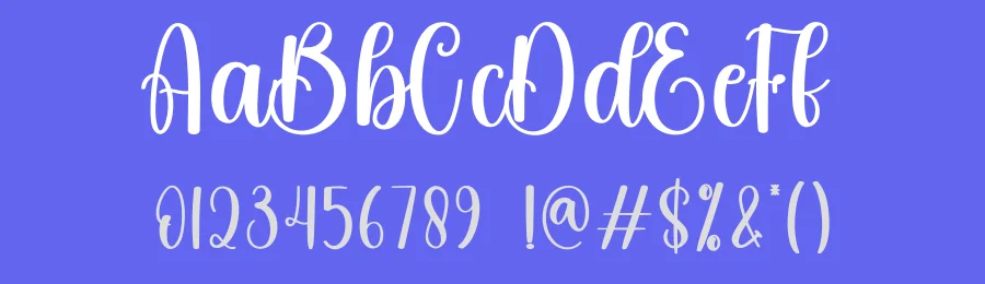 Anything Script Typeface by andikastudio — Script Handwritten Font — thumbnail 3