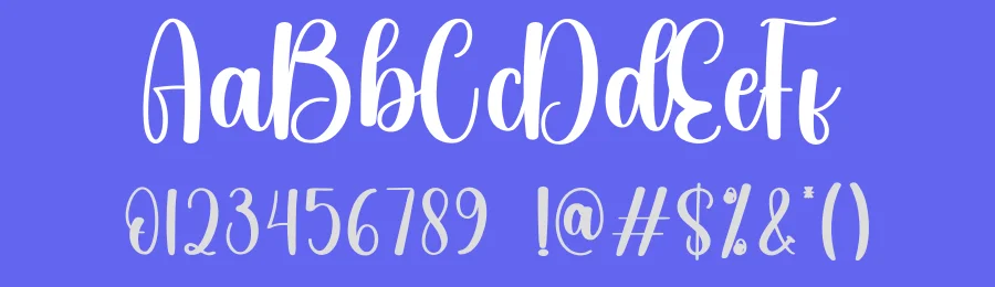 Anything Script Typeface by creativeletter — Script Handwritten Font — thumbnail 3