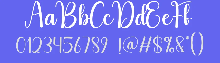 Apply Script Font by andikastudio — Script Handwritten Font — thumbnail 3