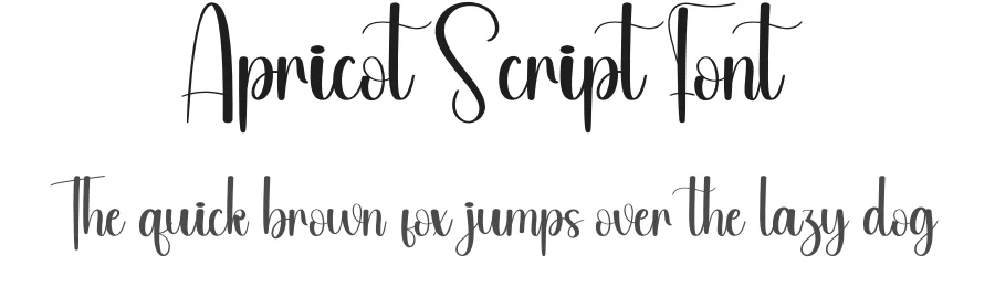 Apricot Script Font by andikastudio — Script Handwritten Font