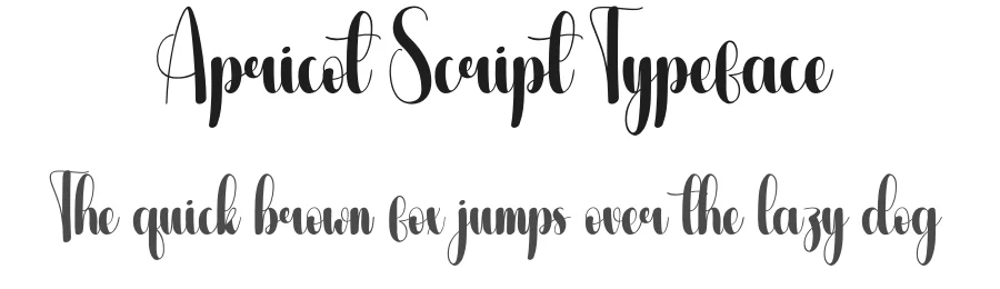 Apricot Script Typeface by andikastudio — Script Handwritten Font