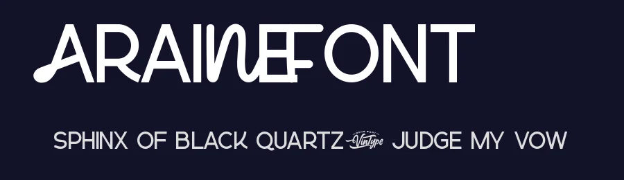 Araine Font by VinType — Script Handwritten Font — thumbnail 2