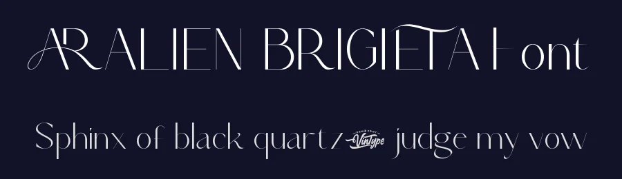 Aralien Brigieta Font by VinType — Display Font — thumbnail 2