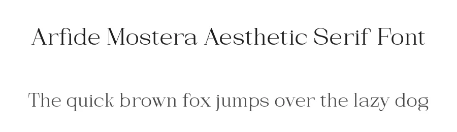 Arfide Mostera Aesthetic Serif Font by Violetnatural โ Decorative Font