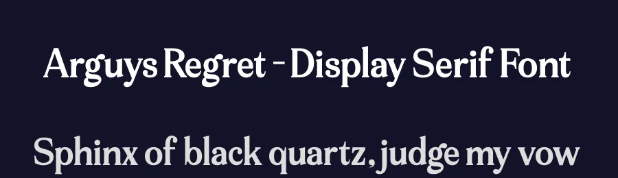 Arguys Regret – Display Serif Font by timelesstype.co — Display Font — thumbnail 2