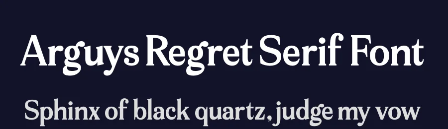 Arguys Regret Serif Font by timelesstype.co — Serif Font — thumbnail 2