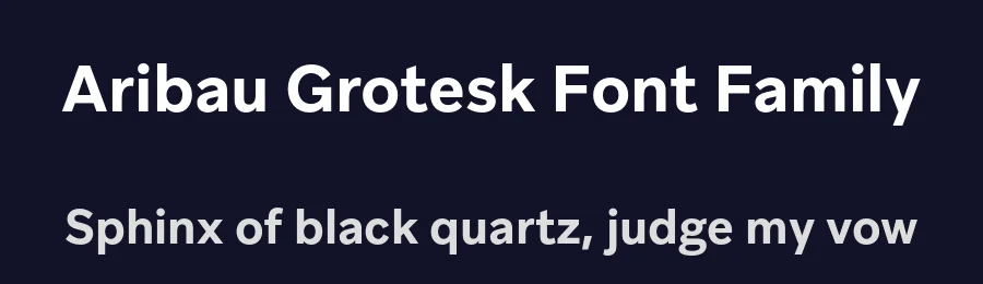 Aribau Grotesk Font Family by Emtype Foundry — Decorative Font — thumbnail 2
