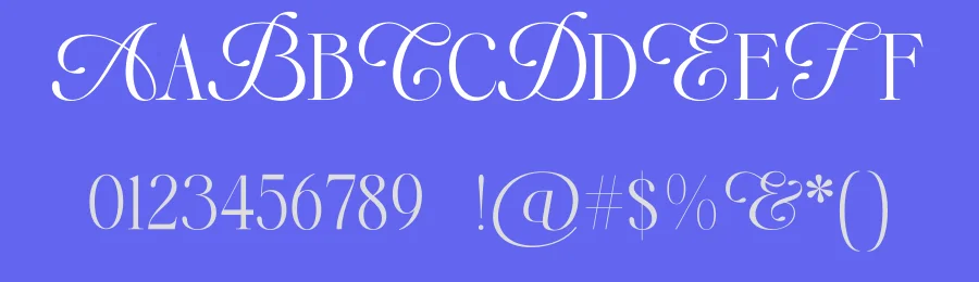 Aricena Font by Rantautype — Serif Font — thumbnail 3