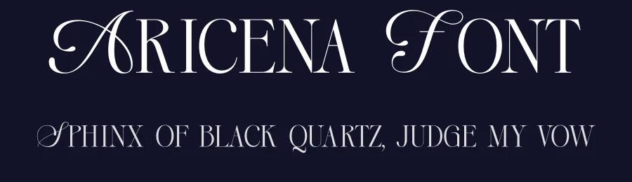 Aricena Font by Rantautype — Serif Font — thumbnail 2