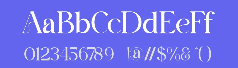 Arilaco Font by ErmediaStudio — Serif Font — thumbnail 3
