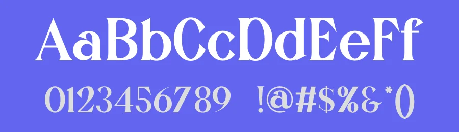 Arina Serif Font by yaqublekker — Serif Font — thumbnail 3