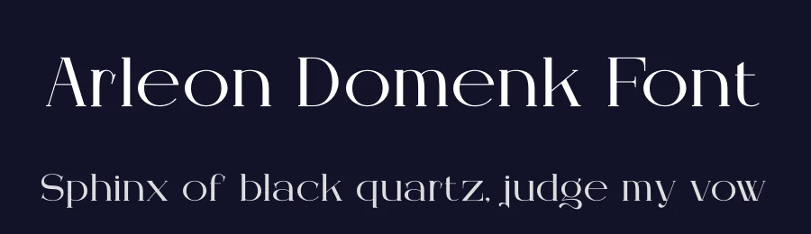 Arleon Domenk Font by Denustudios — Serif Font — thumbnail 2