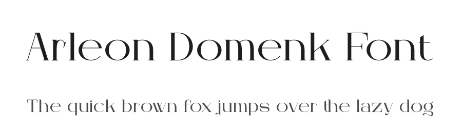 Arleon Domenk Font by Denustudios — Serif Font