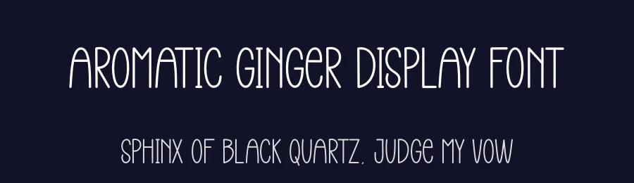 Aromatic Ginger Display Font by creativeletter — Display Font — thumbnail 2